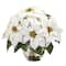 14&#x22; White Poinsettia Arrangement in Designer Silver Bowl